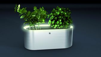 WMF-AMBIENT-Kraeuter-home.jpg
