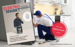 Elektromarkt-4-2026-Copyright-Meisenbach-und-New-Africa-stock-adobe-com.jpg