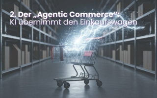 Der--Agentic-Commerce---KI-uebernimmt-den-Einkaufswagen-Copyright-Meisenbach-Verlag---generiert-mit-KI.jpg