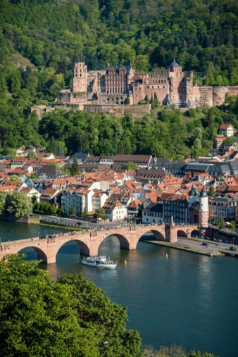 Heidelberg-IFH-Koeln-Studie.jpg