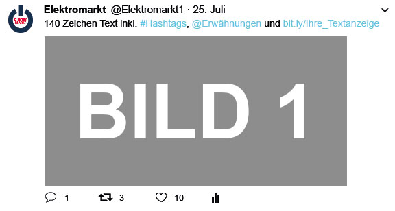 EM_Ansicht_Twitter_Mediadaten
